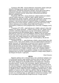 encyklopedia-rachunkowosci-gaap