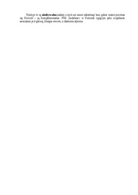 Paradygmat t. pastoralnej