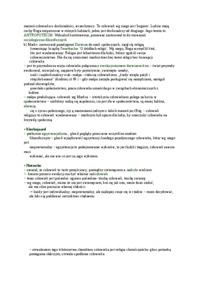 dzieje-filozofii-czlowieka