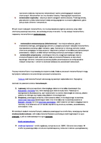 Metamorfizm - przeobrażenie 