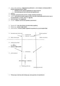 profesjonalizacja-kp-wedlug-christina-holzbacha