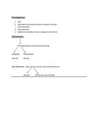 Dynamika procesowa - przykład w praktyce.