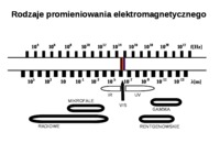 podstawowe-metody-neuroobrazowania