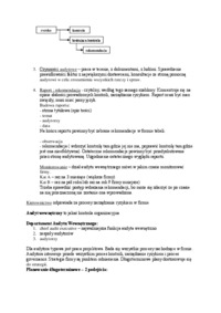 audyt-wyjasnienie-oraz-rodzaje