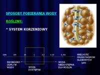czynniki-srodowiskowe