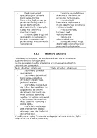 teoria-struktur-organizacyjnych