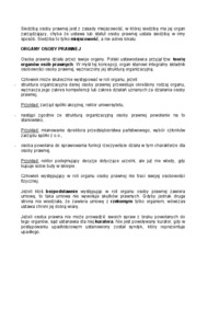 Pojęcie osoby prawnej