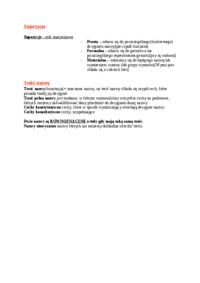 nazwa-podzialy-nazw-i-stosunki-zakresowe