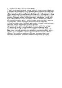 Organizacja samorządu sędziowskiego