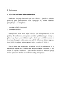 Biznes plan - przedsiębiorstwo handlowe