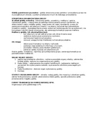 instrumenty-finansowe-na-rynku-kapitalowym