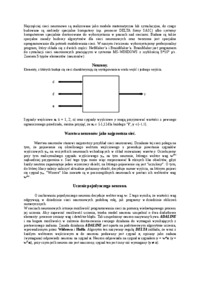 Symulacja sieci neuronowej