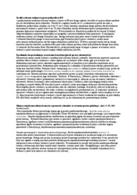 srodki-ochrony-wolnosci-i-praw-jednostki-w-rp