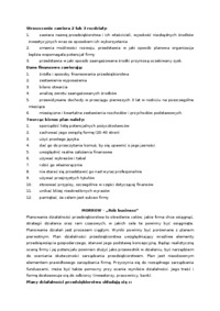 Biznes plan - wzór 2
