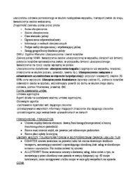 wycieczka-jako-dzialalnosc-gospodarcza