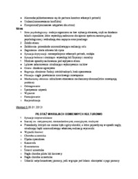 pilotaz-w-krajach-odmiennych-kulturowo-i-arbitraz-a-medytacja