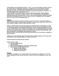 roma-panteron-florencja-charakterystyka