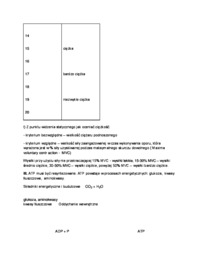 Klasyfikacja ciężkości pracy