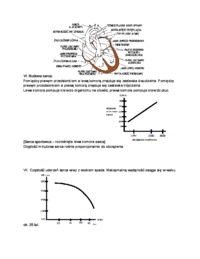 Układ krążenia - wykład
