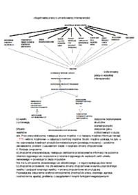 Zmęczenie i zmiany zmęczeniowe - wykład