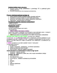 uklady-kultury-procesy-kulturotworcze