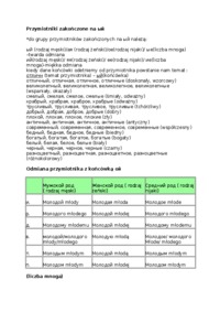 odmiana-przymiotnika-jezyk-rosyjski