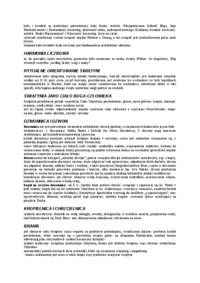 Hani - symbolika światyni chrześcijańskiej