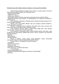 Profile badań kultury renesansu w koncepcji Burckhardta