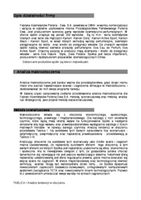 Analiza strategiczna - fabryka kosmetyków