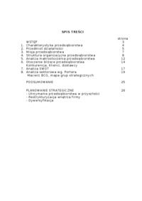 Analiza strategiczna PUDM