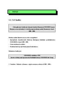 Analiza ekonomiczna przedsiębiorstwa - firma Expander