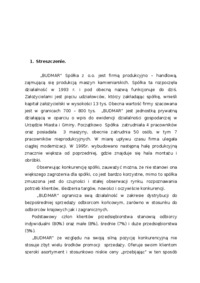 analiza-ekonomiczna-spolka-produkcyjna