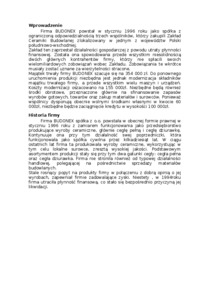analiza-ekonomiczna-firmy-budowlanej