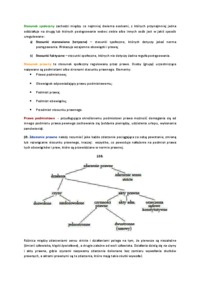 Stosunek społeczny i jego rodzaje