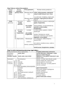 Etapy badawcze - opracowanie