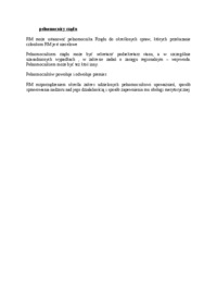 Pełnomocnicy rządu - omówienie zagadnienia 