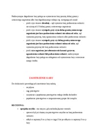 Nadzwyczajne złagodzenie kary