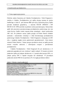 Analiza spółki 
