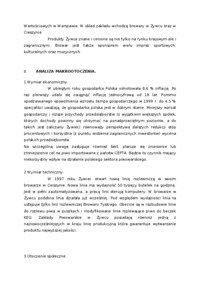 analiza-strategiczna-browaru-spolka