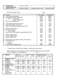 analiza-sytuacji-finansowej-firmy-beta