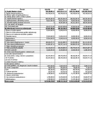 Firma Pol-N - analiza finansowa