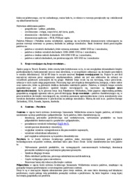  Układ hierarchiczny w stosunkach międzynarodowych i odzwierciedlającego kategorie państw