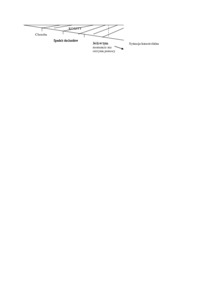 Trzy modele państwa związane z realizowanymi koncepcjami polityki społecznej