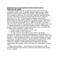 Budowa istoty szarej rdzenia kręgowego