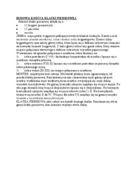 budowa-koscca-klatki-piersiowej