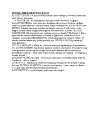 Budowa mikroskopowa kości