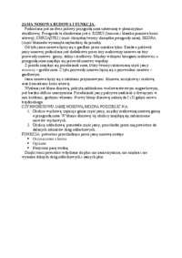 Jama nosowa budowa i funkcja