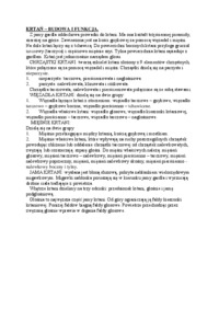 Krtań - budowa i funkcja