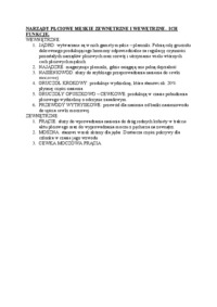 Narządy płciowe męskie zewnętrzne i wewnętrzne