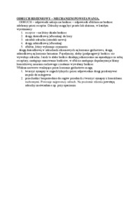 Odruch rdzeniowy - mechanizm powstawania